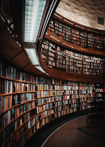 image_bibliothèque bibliotheque