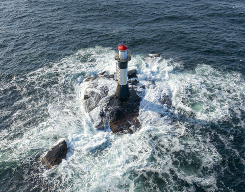 diodon_summit_su_. diodon_summit_su_.