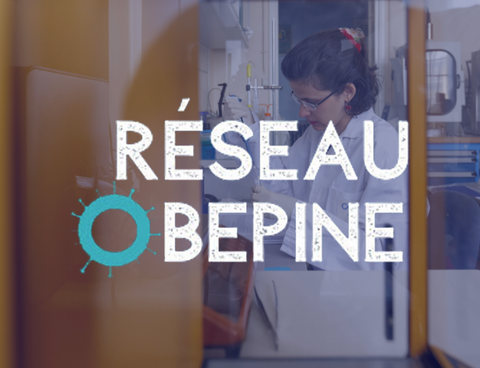 reseau_obepine_summit reseau_obepine_summit