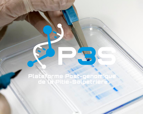 P3S_ plateforme_génomique_protéomique_SUMMIT_Sorbonne_Universite